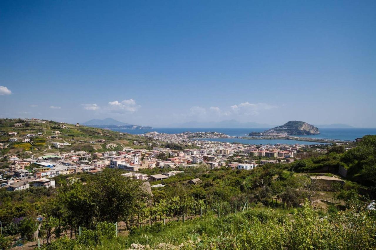 Villa Lamberti Monte di Procida Dış mekan fotoğraf